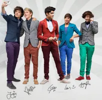 Which One Direction Boy is Right For You? Which One Direction Boy is Right For You?