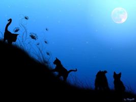Which Warrior Cat Are You? (6) Which Warrior Cat Are You? (6)