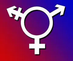 Are You A Lesbian, Bisexual, Or Straight? Are You A Lesbian, Bisexual, Or Straight?