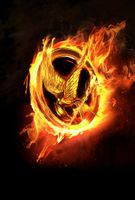 are you a true hunger games fan? (1) are you a true hunger games fan? (1)