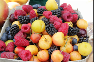 what kind of fruit are you? (1) what kind of fruit are you? (1)