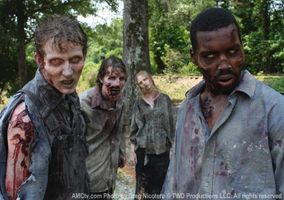 How long will you last in a zombie attack How long will you last in a zombie attack