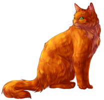 Warrior Cats Quiz: Books 1-6 (The Prophecies Begin) Warrior Cats Quiz: Books 1-6 (The Prophecies Begin)