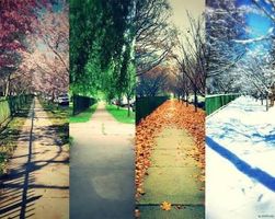 Which Season are You? (4) Which Season are You? (4)