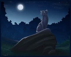 Would you be a good clan leader? Would you be a good clan leader?