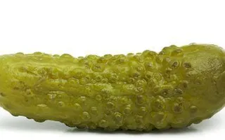Are You a Pickle? Are You a Pickle?