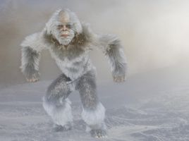 Which Yeti Are You? Which Yeti Are You?