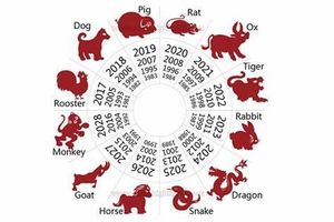 What Animal Are You? (68) What Animal Are You? (68)