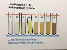 How Well Do You Hydrate? How Well Do You Hydrate?