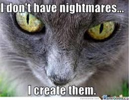 Which Hogwarts House does your cat belong in? Which Hogwarts House does your cat belong in?