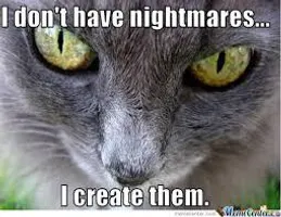 Which Hogwarts House does your cat belong in? Which Hogwarts House does your cat belong in?