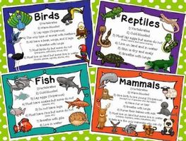 Mammals of the World Personality Quiz Mammals of the World Personality Quiz