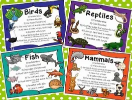 Mammals of the World Personality Quiz Mammals of the World Personality Quiz