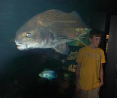 What's Your Fish Personality? What's Your Fish Personality?