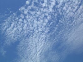 Test Your Torah Knowledge Test Your Torah Knowledge