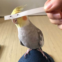 B U R B B U R B