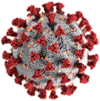 Corona Viruses COVID-19 Check