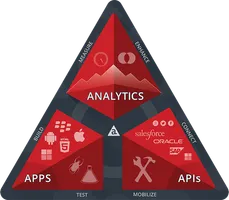 Mobile App Development Platforms Quiz (1)