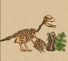 dinosaur quiz dinosaur quiz