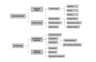Metaphysics Mind-Bender Quiz Metaphysics Mind-Bender Quiz
