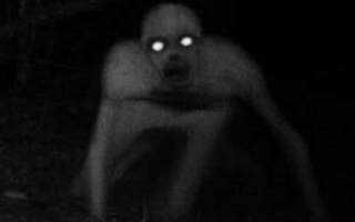 Which paranormal creature are you? Which paranormal creature are you?
