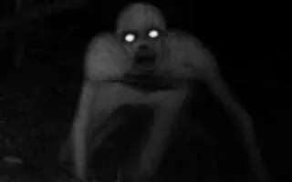Which paranormal creature are you? Which paranormal creature are you?
