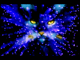 My 6th which of my warrior cats are you? My 6th which of my warrior cats are you?