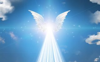 What kind of angel are you? (1) What kind of angel are you? (1)