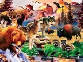 What Animal Do You Represent? What Animal Do You Represent?