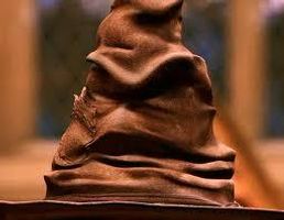 The Sorting Hat's decision, Which Hogwart's house are you? The Sorting Hat's decision, Which Hogwart's house are you?