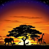 What African animal are you? What African animal are you?