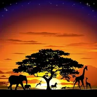 What African animal are you? What African animal are you?
