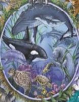 What whale are you? What whale are you?