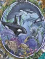 What whale are you? What whale are you?