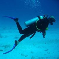 Dive Deep: World Record Underwater Moments Dive Deep: World Record Underwater Moments