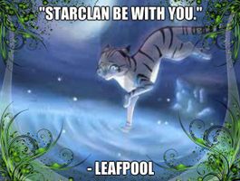 Which of my Warrior Cats ocs are you? Which of my Warrior Cats ocs are you?