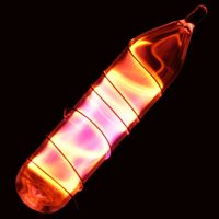 Discover Your Neon Personality Discover Your Neon Personality