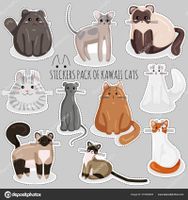 Funny Animal Videos Personality Quiz Funny Animal Videos Personality Quiz