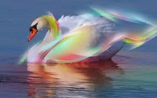 Are You Beautiful on the Inside, Outside or Both? Are You Beautiful on the Inside, Outside or Both?