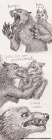 Which Werewolf Are You? Which Werewolf Are You?