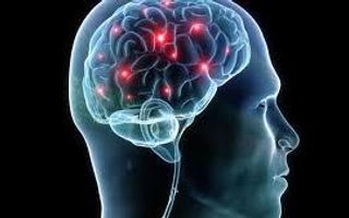 Do you use the left or right side of your brain? Do you use the left or right side of your brain?