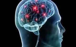Do you use the left or right side of your brain? Do you use the left or right side of your brain?