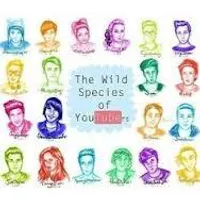 guess the youtuber
