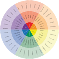 What Kind of Feeling Type Are You? What Kind of Feeling Type Are You?
