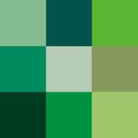 Which Shade of Green Are You? Which Shade of Green Are You?