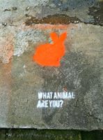 Which Animal are You? (9) Which Animal are You? (9)