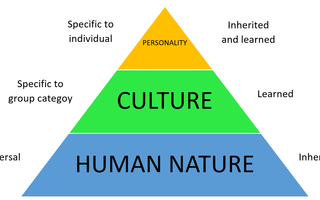 Which Coding Personality Are You? Which Coding Personality Are You?