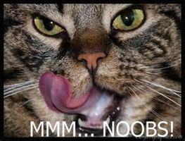 Are you a noob? (1) Are you a noob? (1)