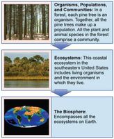 Test Your Knowledge on Ecology Test Your Knowledge on Ecology