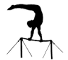 Are you a gymnast? Are you a gymnast?